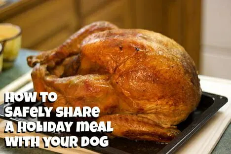 thanksgiving-day-turkey-roasted-photo
