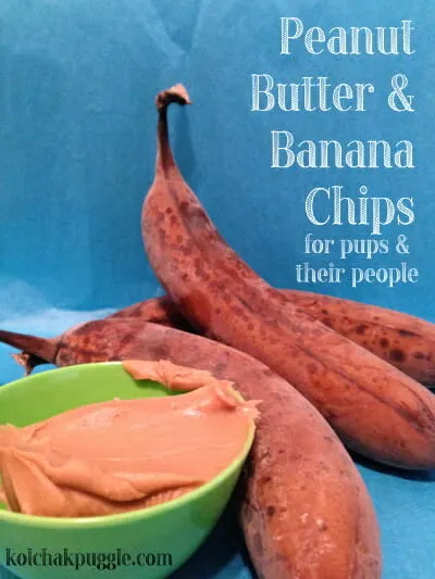 peanut butter and banana chips for dogs dehydrator dog treat recipe