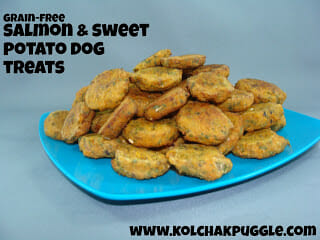 Sweet Potato & Salmon Bites Dog Treat