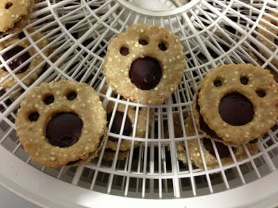 Tasty Tuesday: Chicken & Liver Linzer Cookies for Dogs