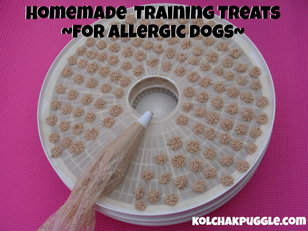 Homemade Training Treats for Dogs with Allergies