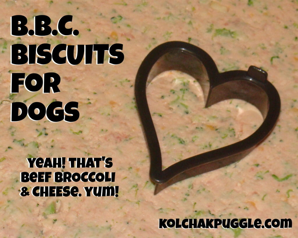 Tasty Tuesday: Beef Broccoli & Cheese Biscuits for the Dog