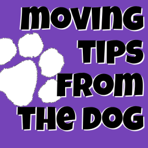 moving tips from the dog
