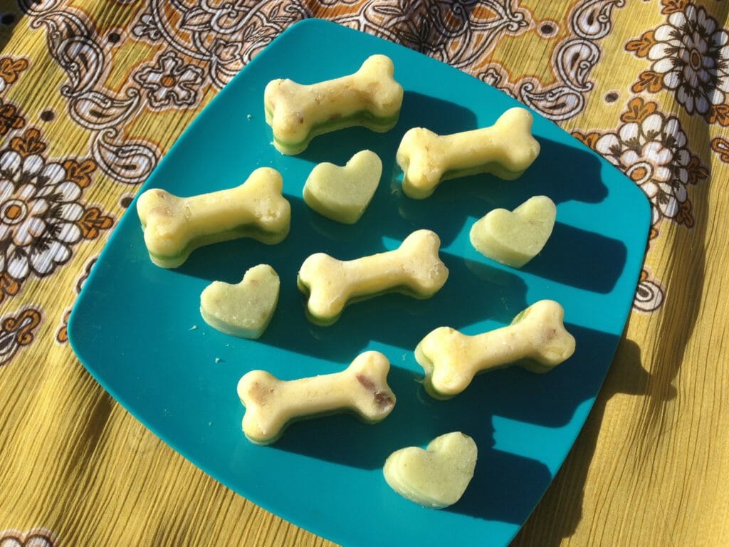 frozen dog treats made from leftovers