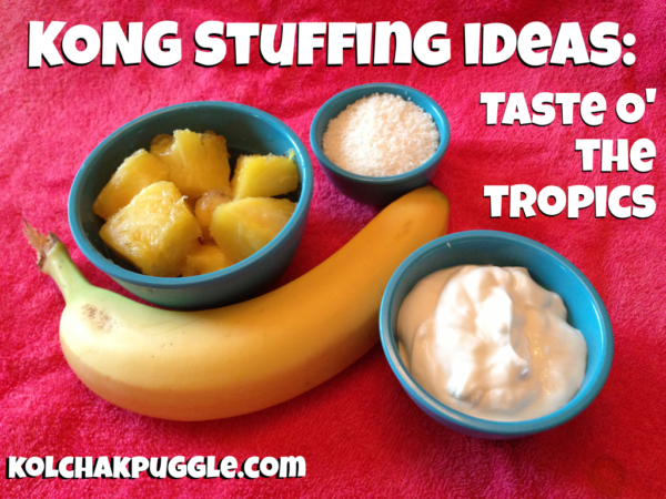 KONG Stuffing Ideas: Taste o’ the Tropics