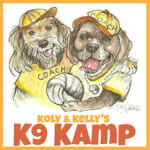 k9 kamp canine fitness blog challenge