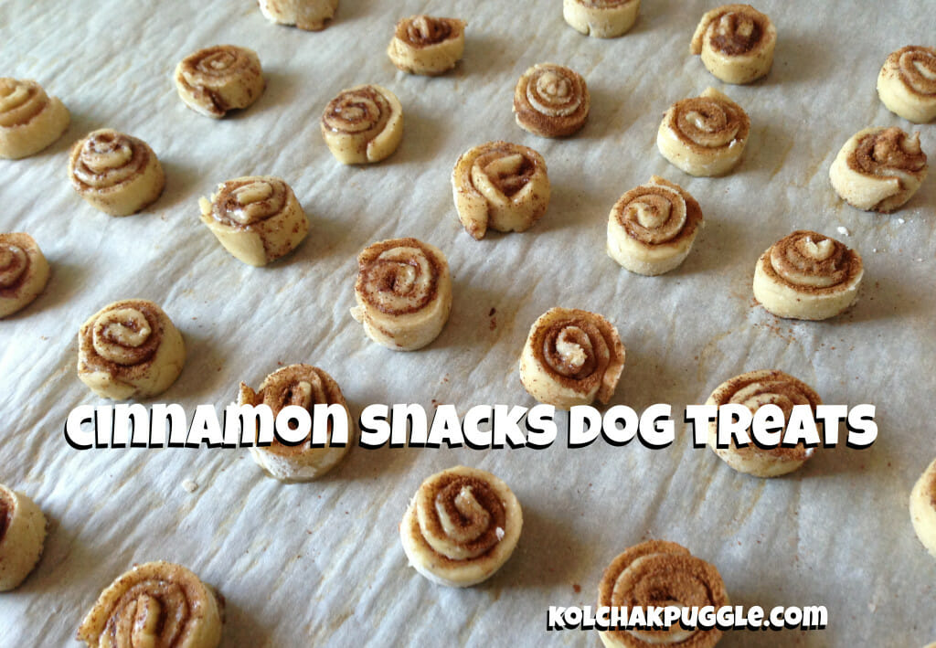 cinnamon dog treats