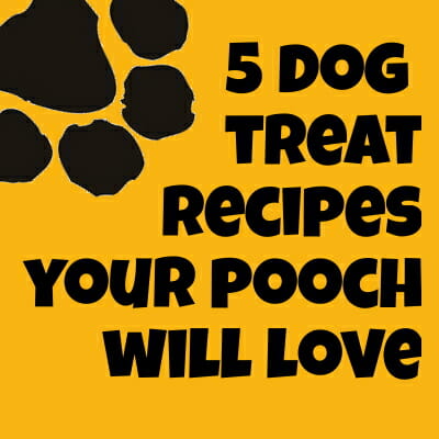 Five Dog Treat Recipes Your Pooch Will Love