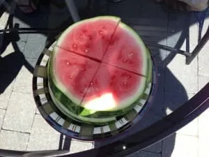 A Felix Favourite: Cold, fresh sliced watermelon. Yum!