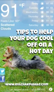 image from the free & adorable WeatherPuppy iPhone App