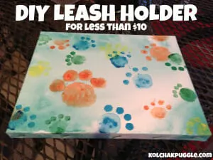 DIY Leash Holder
