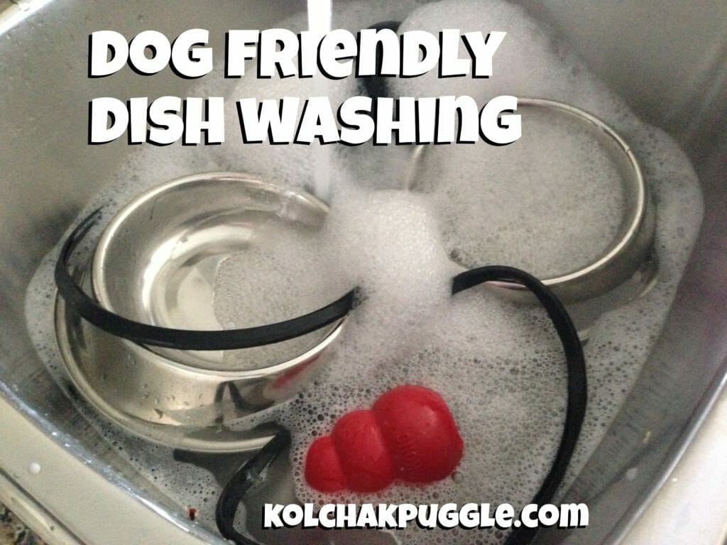 Dog Friendly Dish Washing