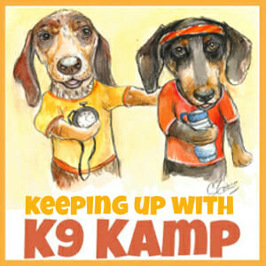 Keeping Up with K9 Kamp: How Many Calories Does Your Dog Need