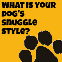 What’s Your Dog’s Snuggle Style