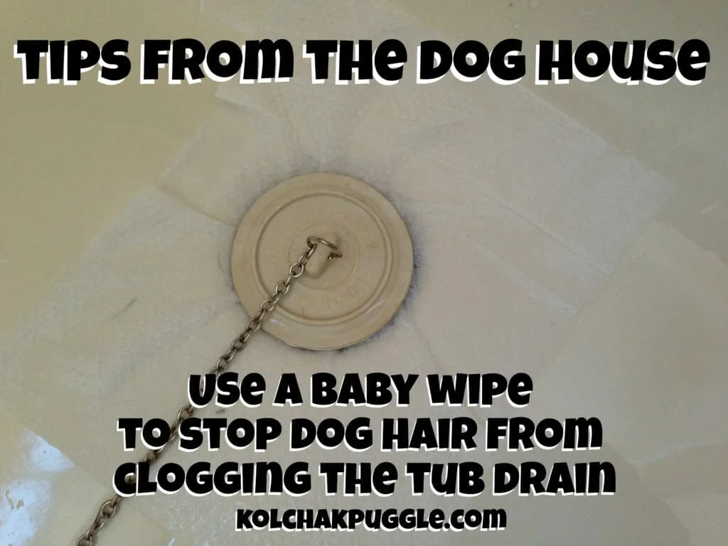 How to Bath the Dog Without Clogging the Drain - Kol's Notes