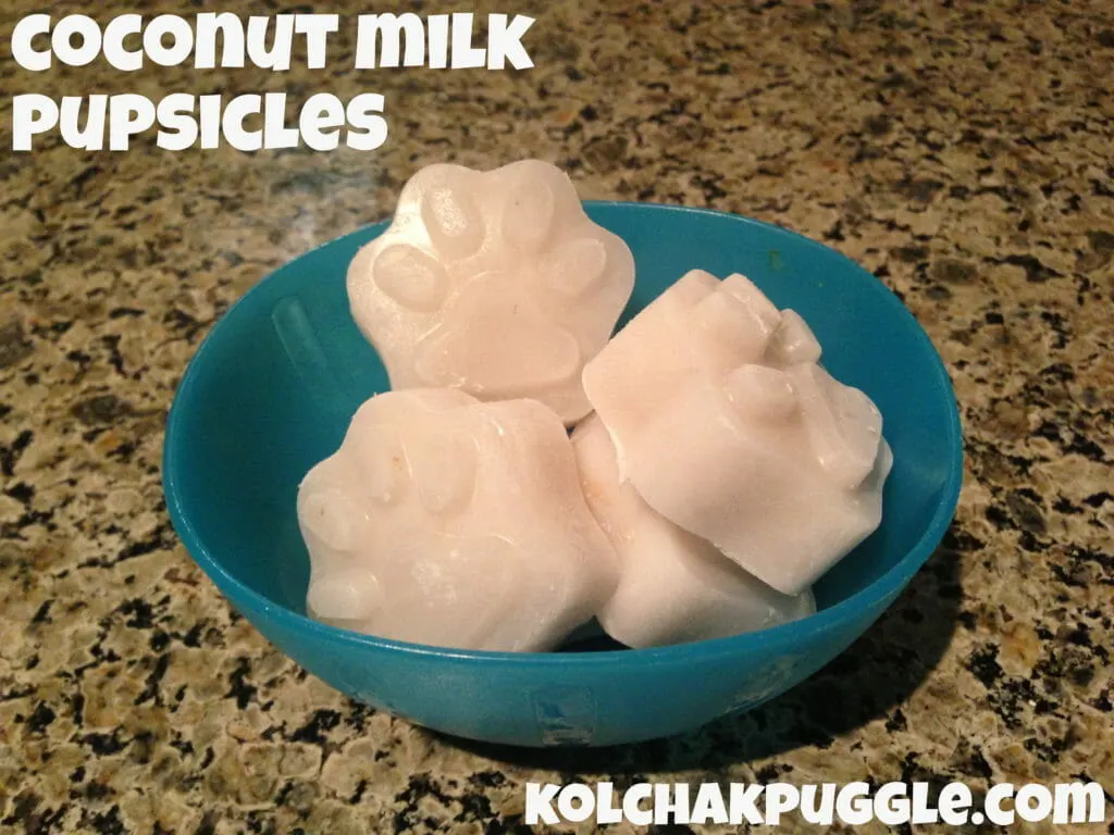 bowl of paw shaped coconut milk frozen dog treats