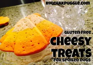 gluten free cheesy treats for dogs