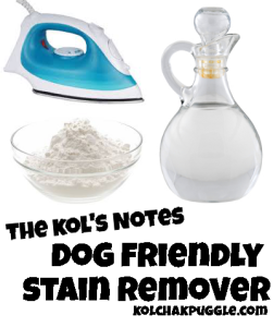 dog friendly stain remover