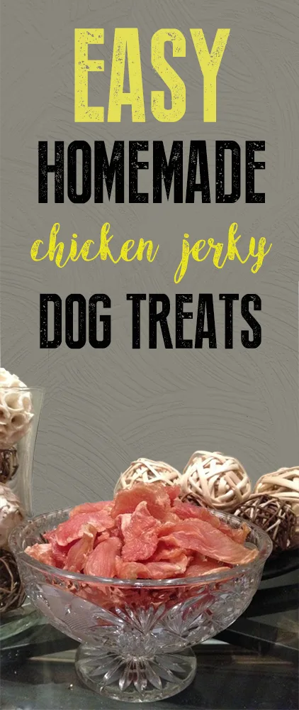 bowl of chicken jerky dog treats with text overlay that says "easy homemade chicken jerky dog treats"