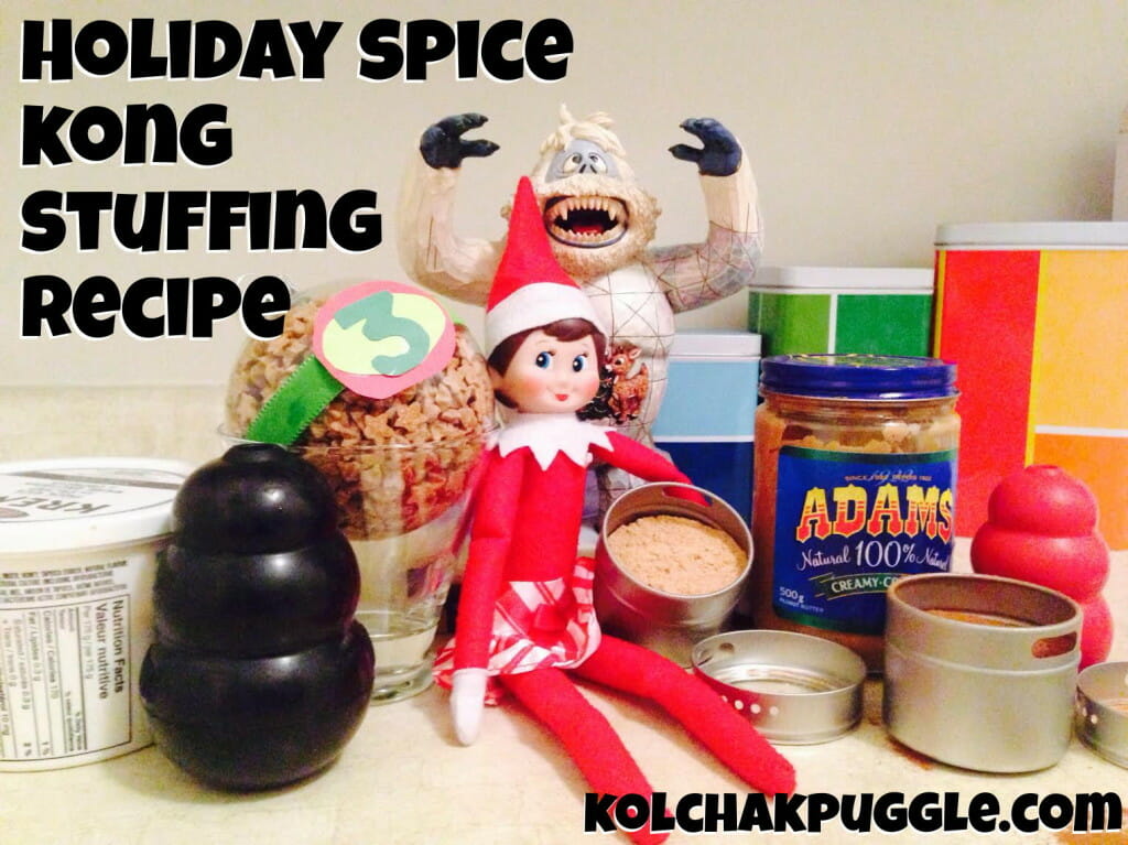 holiday spice kong stuffing recipe from kolchakpuggle.com