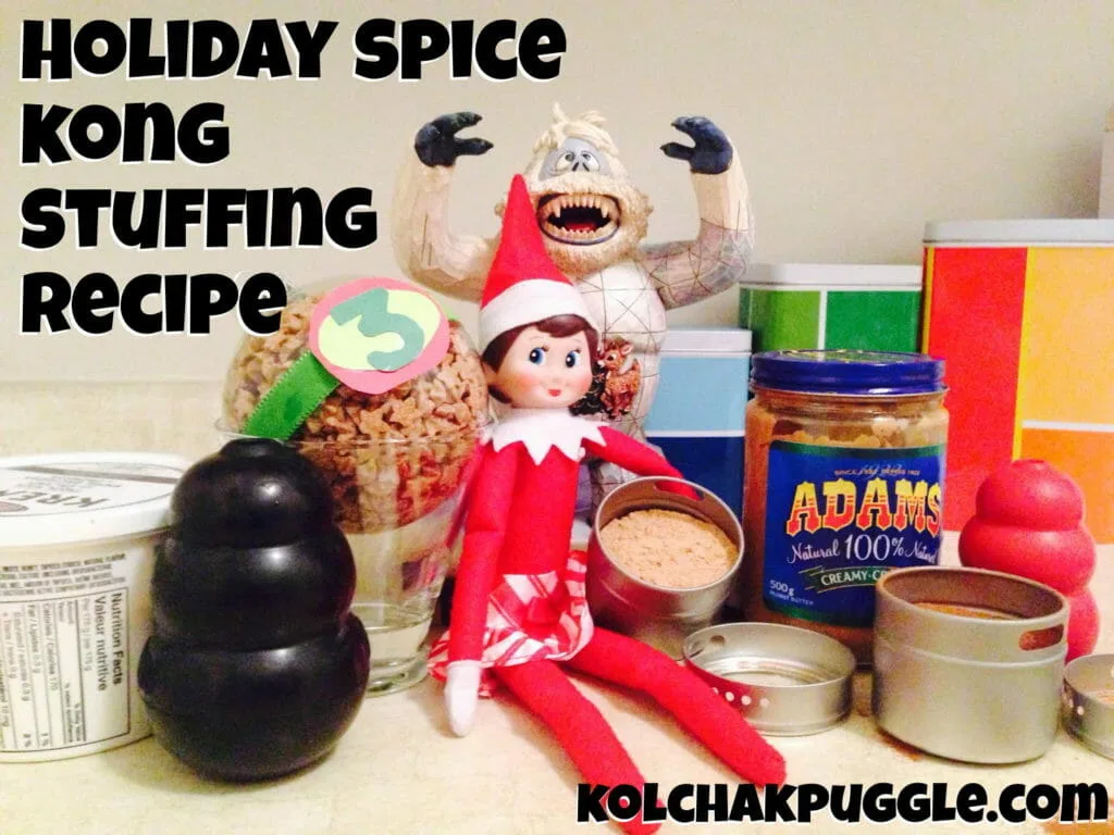 holiday spice kong stuffing recipe