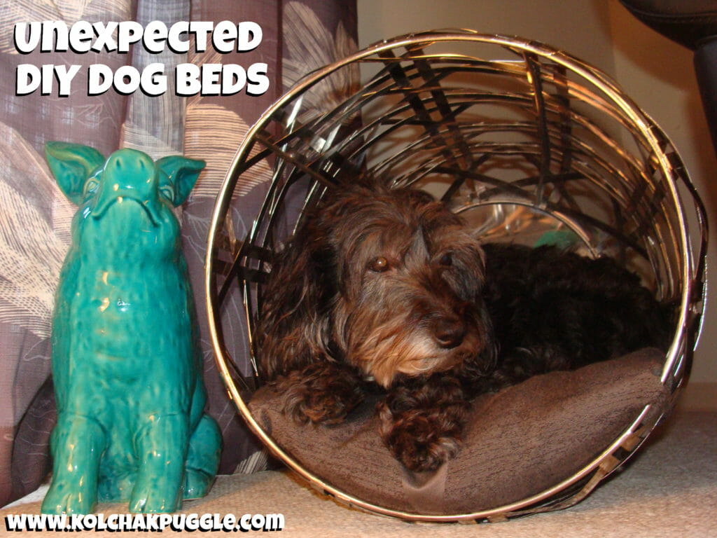 An Unexpected Dog Bed DIY