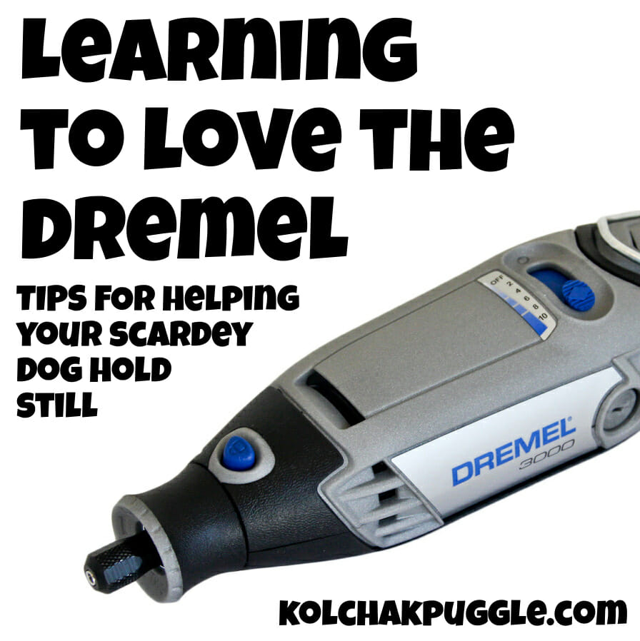 Hold Still Kolchak! Learning to Love the Dremel
