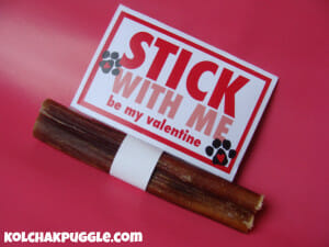 Use with bully stick, steer sticks or those heavy duty rubber stick chews