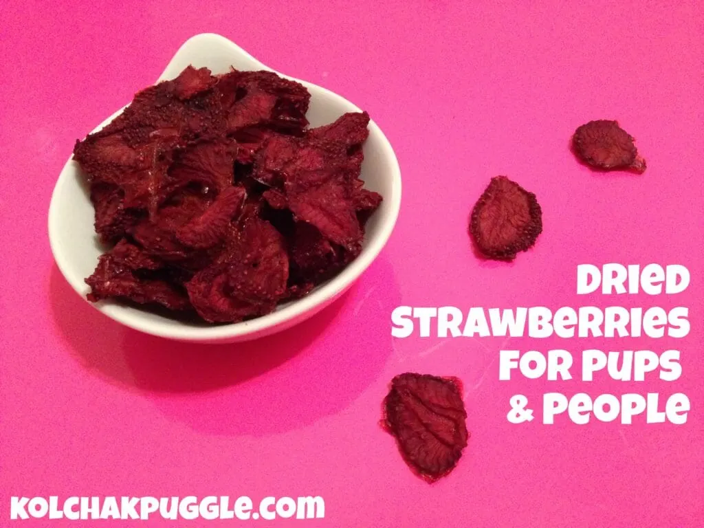 dried strawberries for pups and people