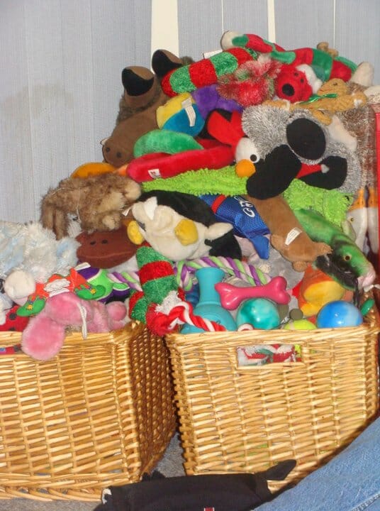 Keep Clutter at Bay with a Dog Toy Rotation
