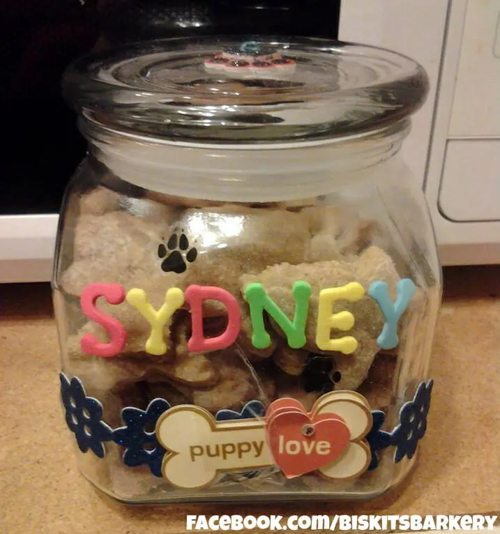 Diy dog hot sale treat jar