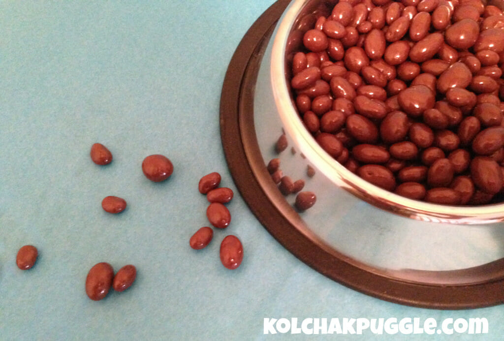 April Fool's Day Pranks for Dog Lovers Chocolate Raisins in a kibble bowl