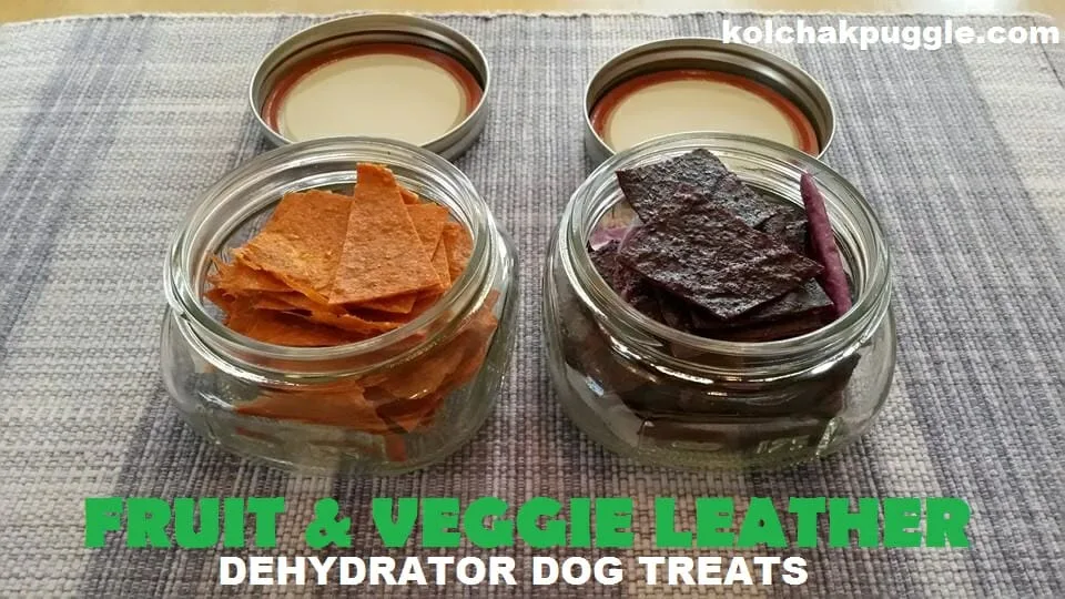 fruitandveggieleatherdehydratordogtreats