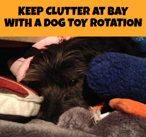Keep clutter at bay with a dog toy rotation.