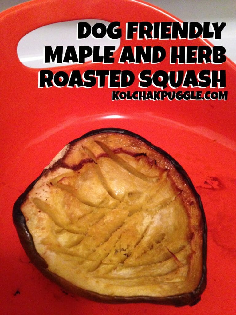 I love making dog friendly foods that I can enjoy and share with my two favourite pooches. This recipe for maple and herb roasted squash is simple to make and and tasty for dogs and humans alike.