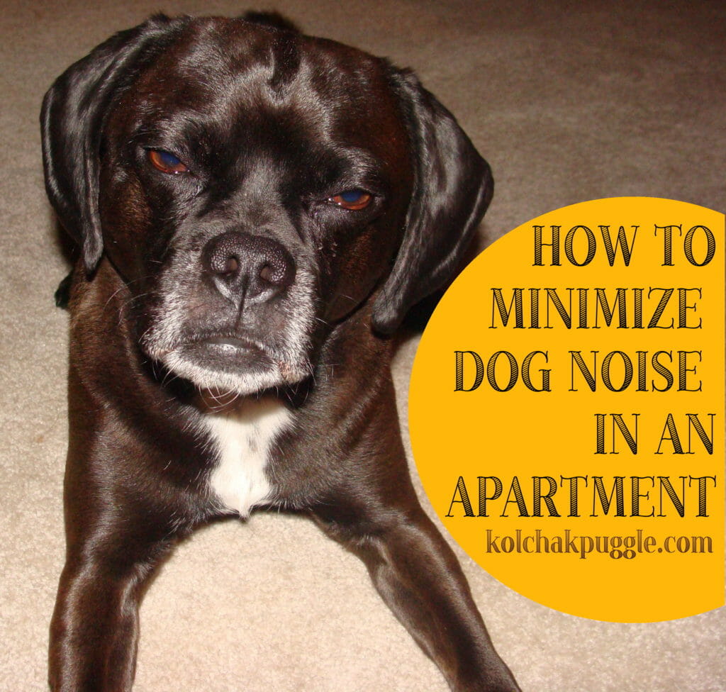 Minimize Dog Noise in an Apartment with these tips