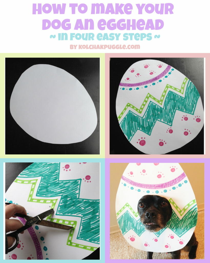 DIY Easter Photo Props for Dogs