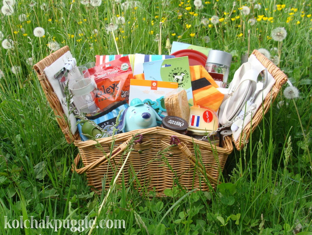 How to Plan a Dog Friendly Picnic + a Give Away