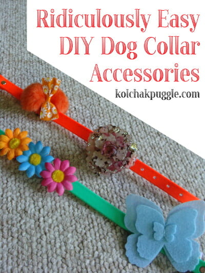 Easy-DIY-Dog-Collar-Accessories
