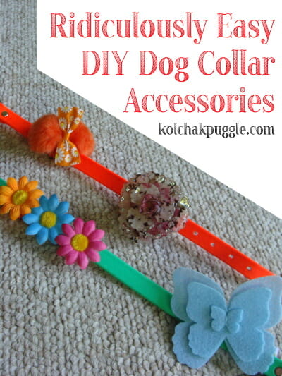 Diy collar cheap dog