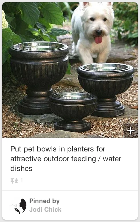 Outdoor dog water sales bowl