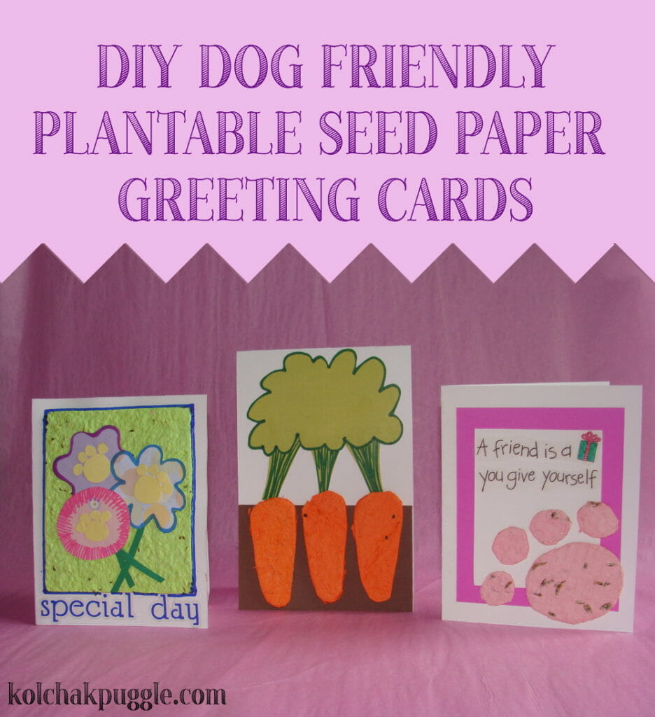 dog friendly seed paper cards
