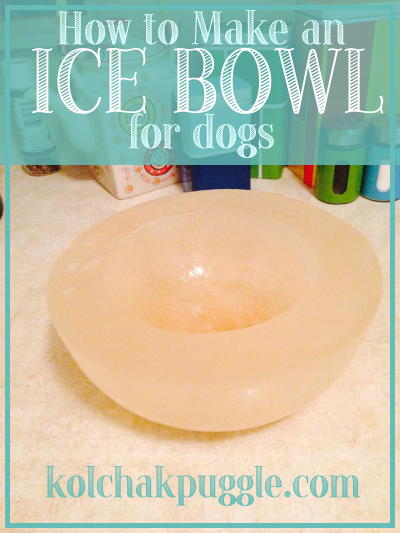 How to keep your Dog's Water Bowl Cool in the Summer Heat