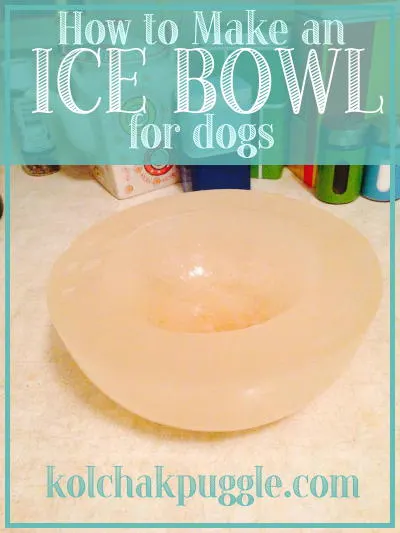 ice-bowl-for-dogs