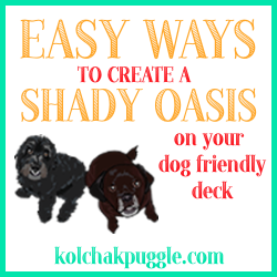 Tips For Creating a Shady Oasis on a Dog Friendly Deck