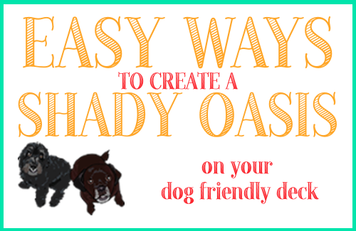 Easy Ways Create a Shady Oasis on Your Dog Friendly Deck