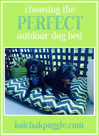 how to choose a quality outdoor dog bed