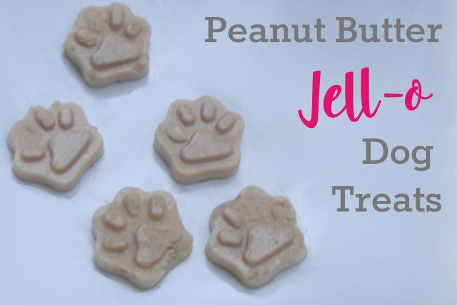 Peanut Butter Jello Easy Dog Treats