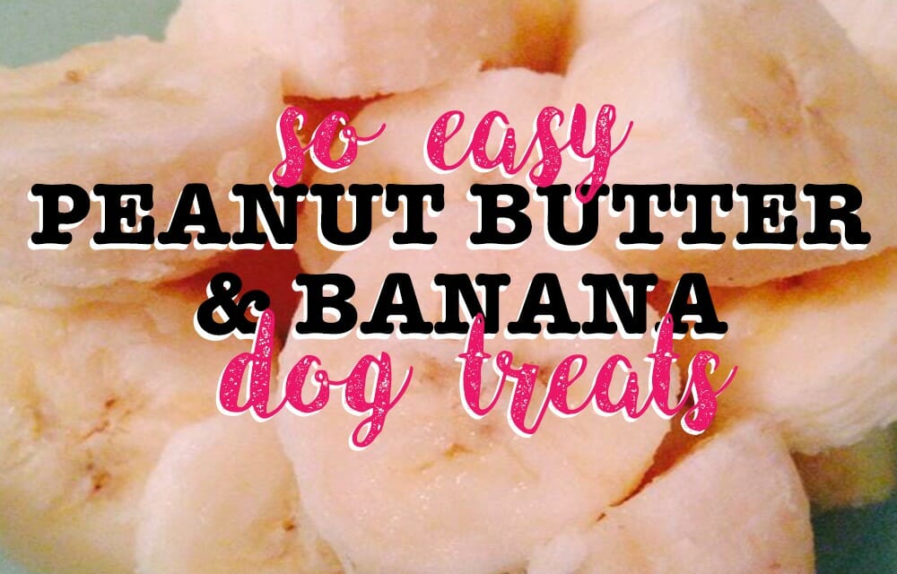 Frozen Peanut Butter & Banana Dog Treats (That Even Humans Will Love)