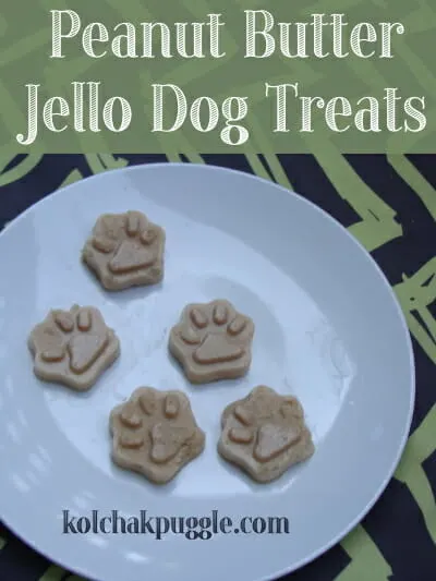 peanut-butter-jello-dog-treats
